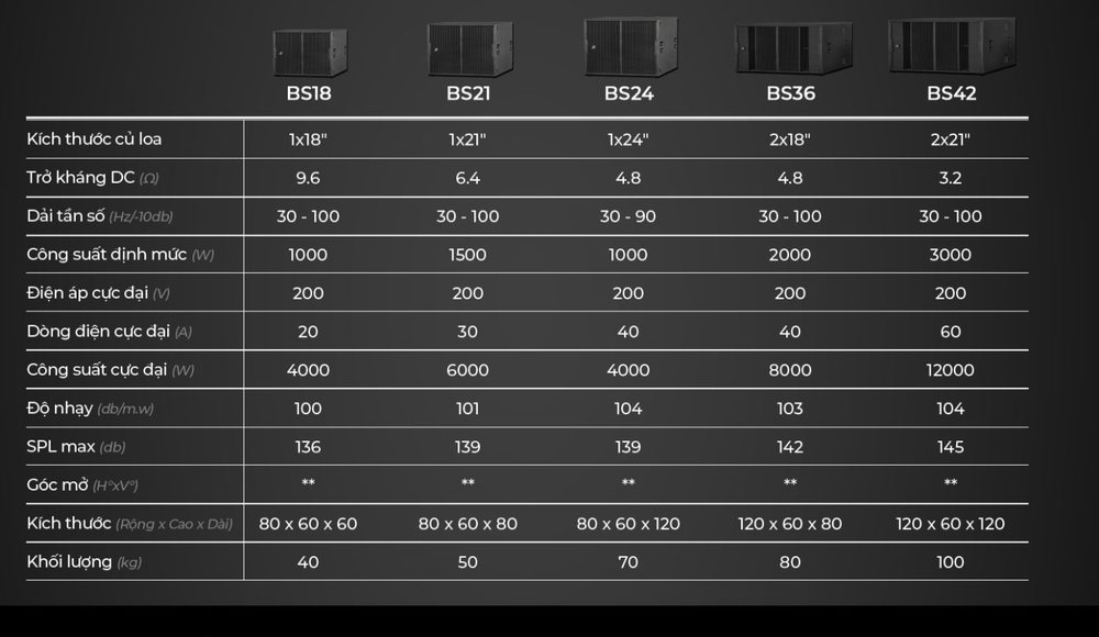BS Series Passive Bandpass Subwoofer – Loa Sub Không Liền Công Suất Cho Nightlife, Âm Thanh Bar, Club & Karaoke 2
